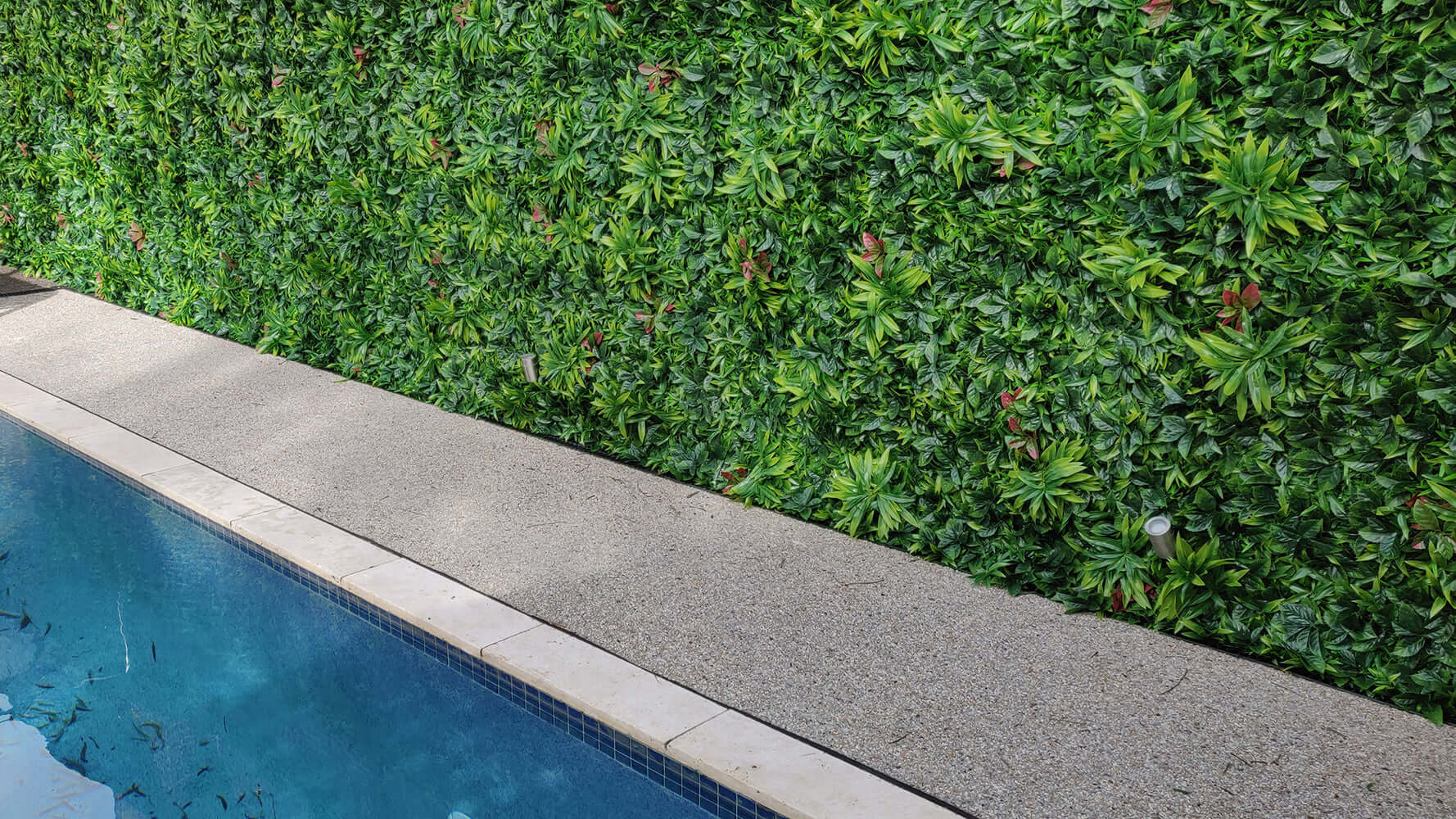 Quality Assured Artificial Green Walls 