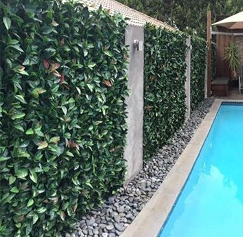 Benefits of Having an Outdoor Artificial Hedge - Designer Vertical Gardens