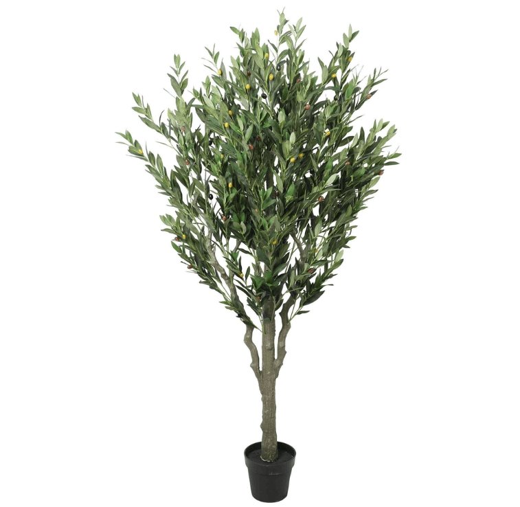 DIY Fake Olive Tree: Everything You Should Know - Designer Vertical Gardens