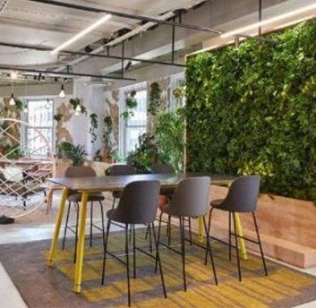 HOW TO CREATE AN INSPIRING WORKPLACE - Designer Vertical Gardens