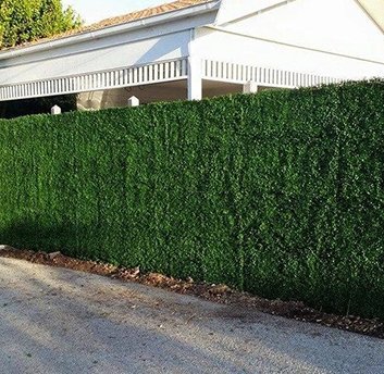 How to gain privacy from Artificial Hedges - Designer Vertical Gardens