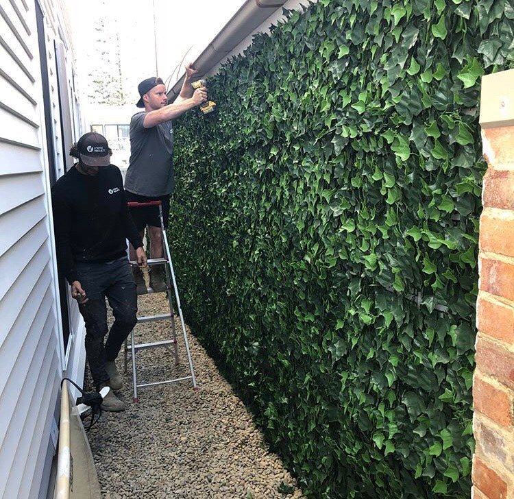 How To Set Your Own Poolside Green Wall - Designer Vertical Gardens