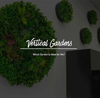 Vertical Gardens: Which Garden Is Ideal for Me? - Designer Vertical Gardens