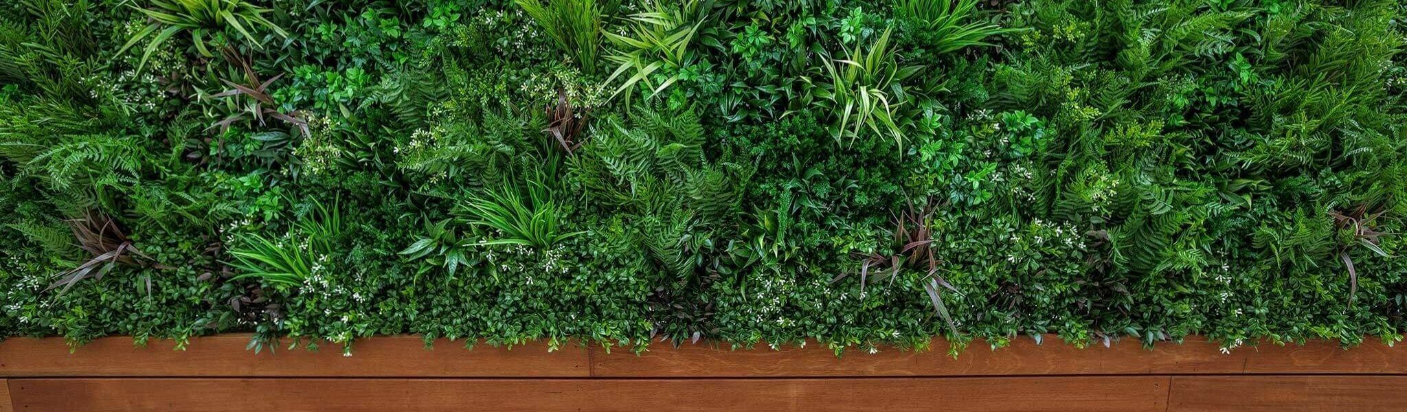 Artificial Vertical Gardens | Designer Vertical Gardens