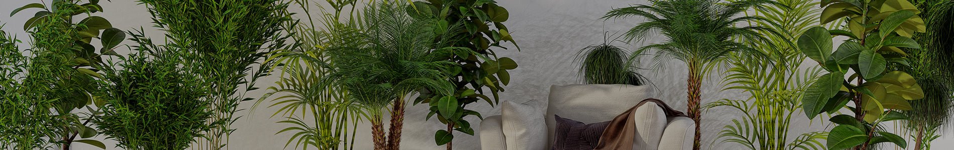 Indoor Artificial Trees - Designer Vertical Gardens