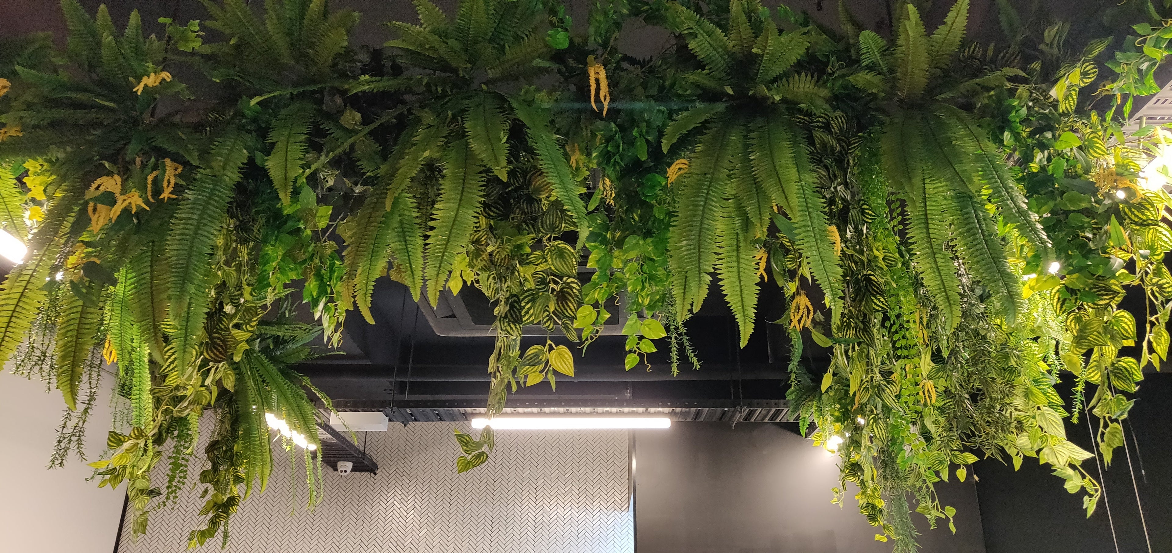 Indoor Hanging Plants - Designer Vertical Gardens