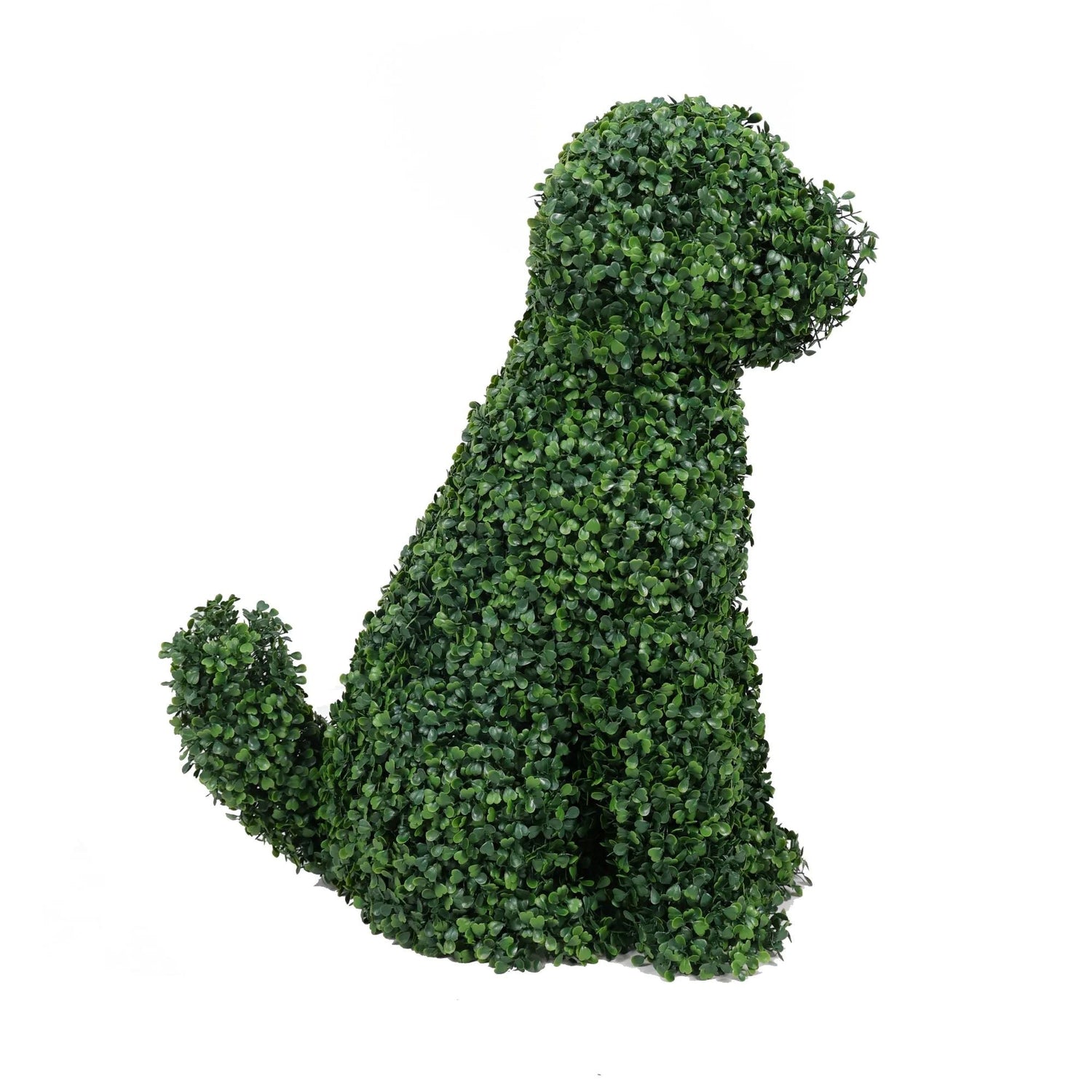 Artificial Boxwood Topiary Dog 60cm UV Resistant - Designer Vertical Gardens artificial topiary buxus topiary