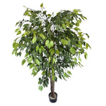 Artificial Ficus Tree 180cm Nearly Natural UV Resistant - Designer Vertical Gardens Artificial Ficus Artificial Trees