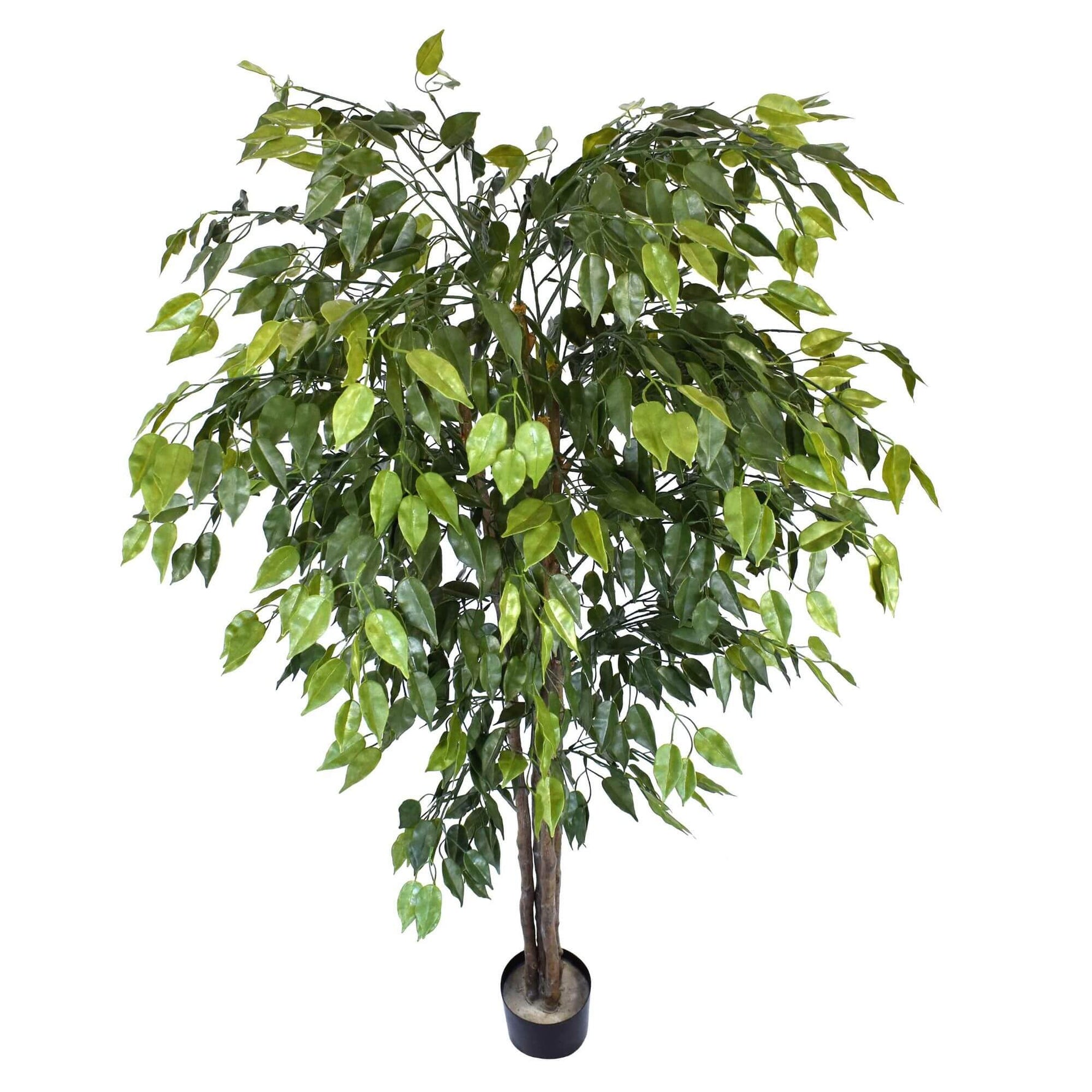 Artificial Ficus Tree 180cm Nearly Natural UV Resistant - Designer Vertical Gardens Artificial Ficus Artificial Trees