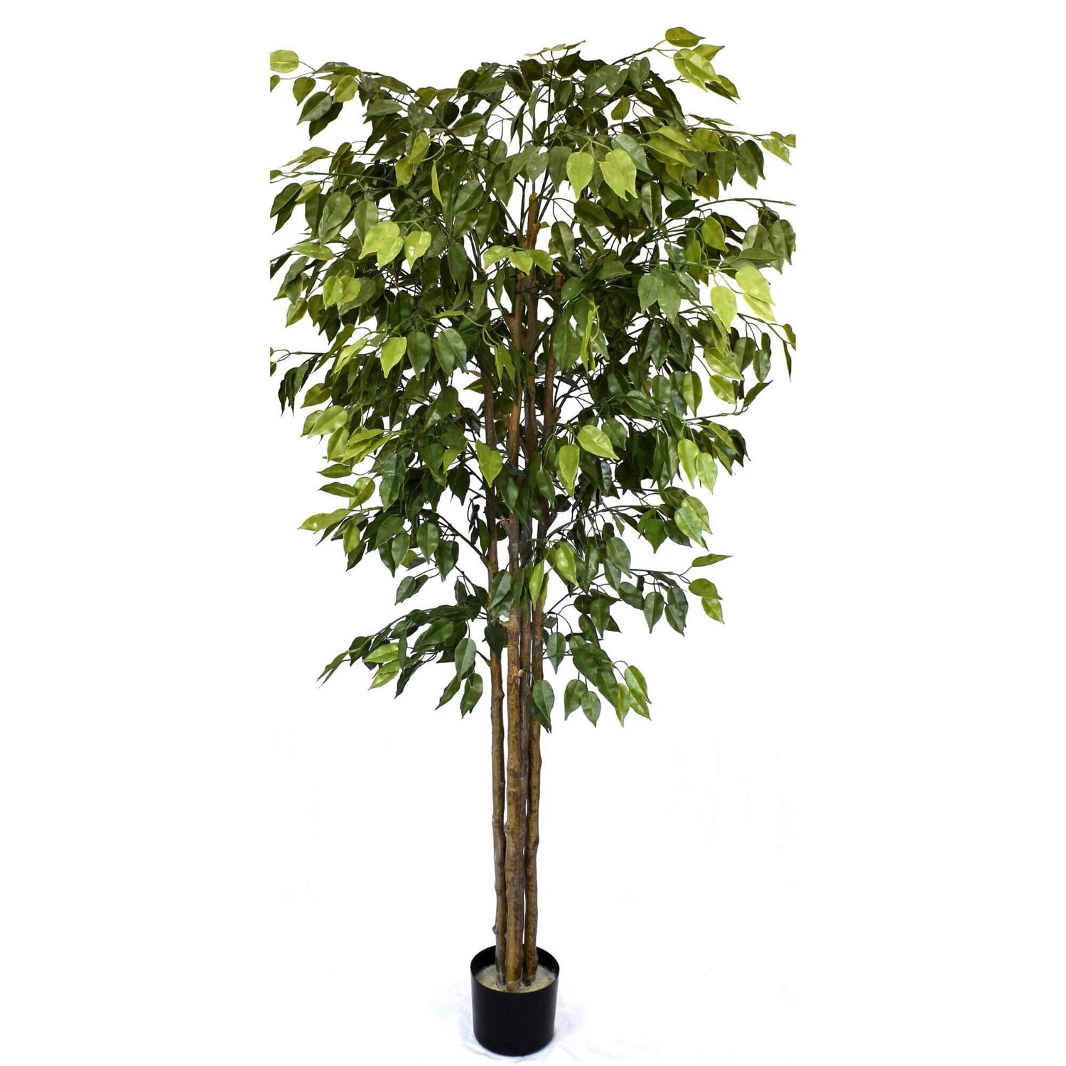 Artificial Ficus Tree 180cm Nearly Natural UV Resistant - Designer Vertical Gardens Artificial Ficus Artificial Trees