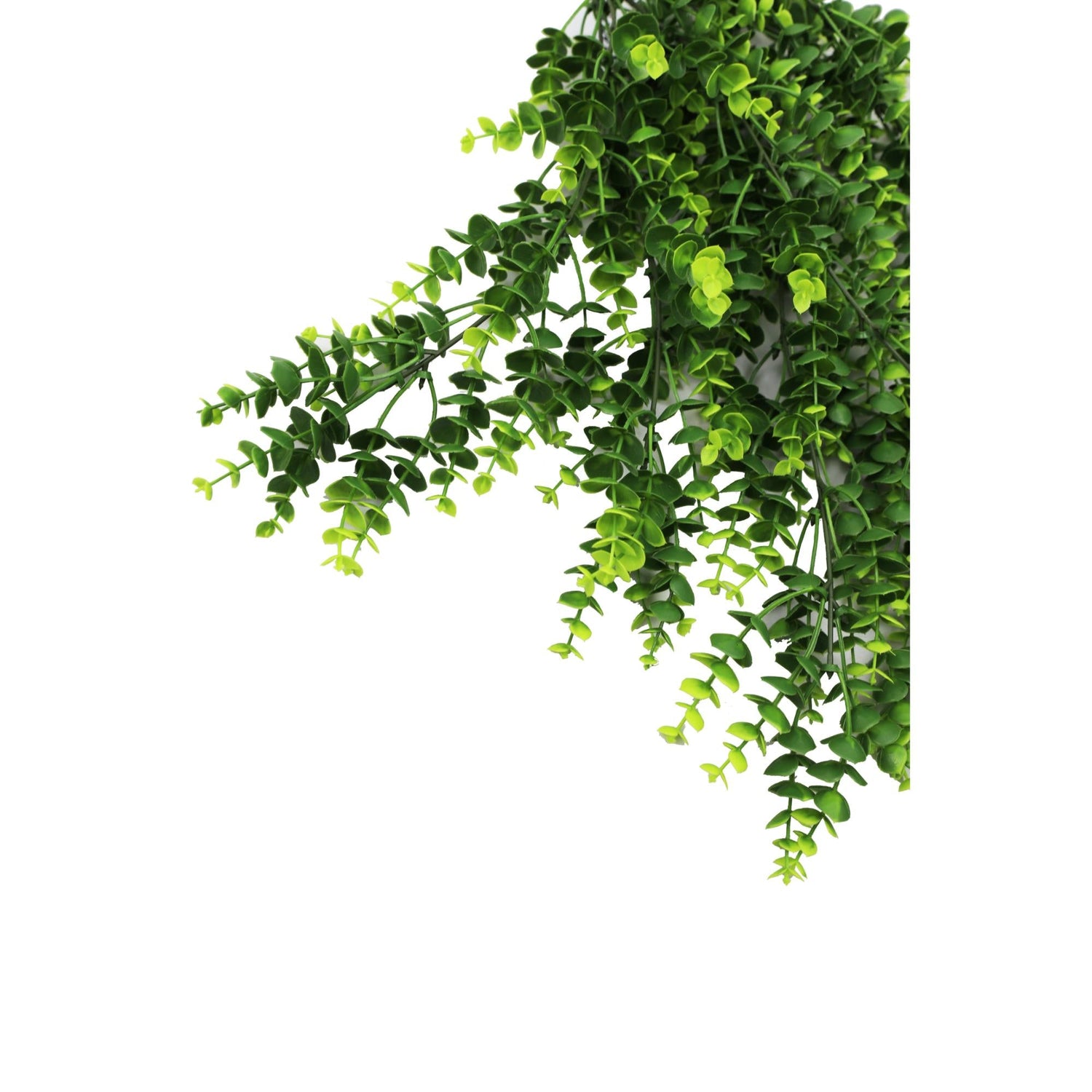 Artificial Hanging Dense Rounded Buxus (Sempervirens) UV Resistant 78cm - Designer Vertical Gardens artificial hanging basket artificial hanging ferns