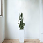 Artificial Snake Plant Sansevieria UV Resistant 90cm - Designer Vertical Gardens agave Artificial Shrubs and Small plants