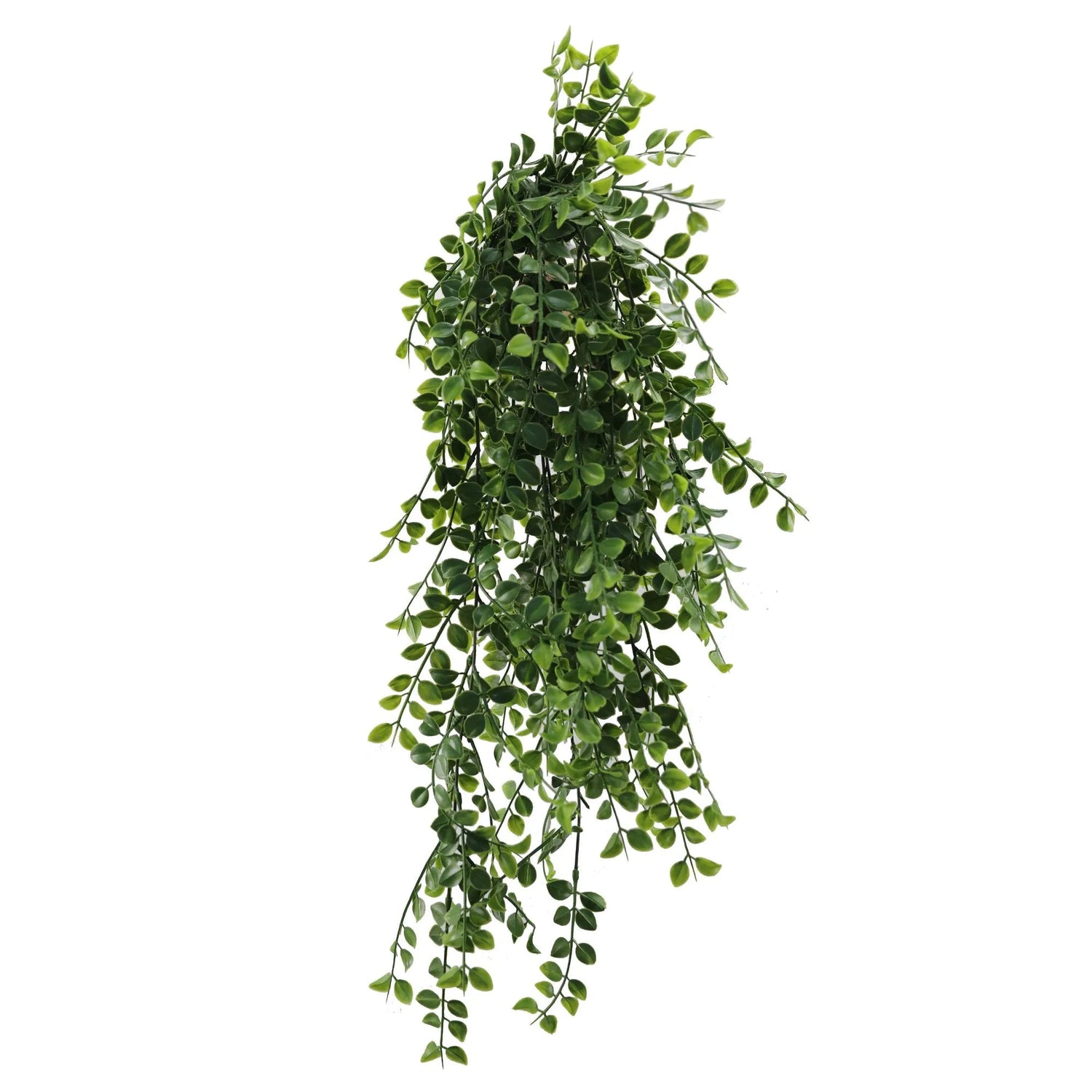 Artificial UV Resistant 80cm Hanging Dense Pearls (Nearly Natural) - Designer Vertical Gardens