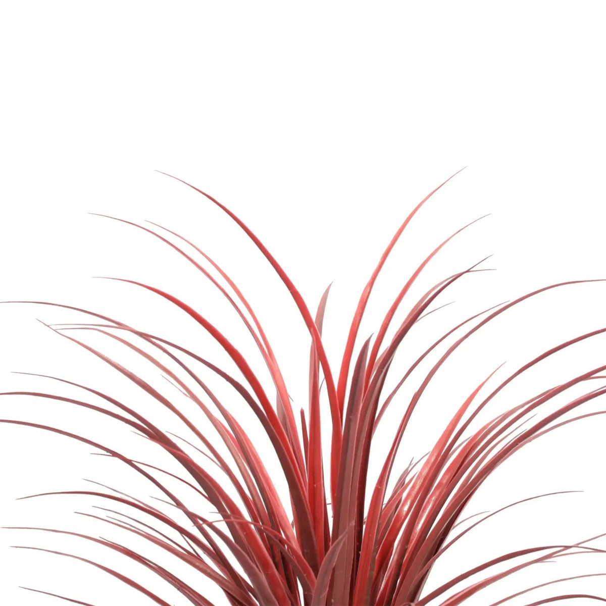 Burgundy Potted Artificial Long Grass (Yucca Grass) 75cm UV Resistant - Designer Vertical Gardens Artificial Shrubs and Small plants Dracena & Artificial Yucca