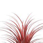 Burgundy Potted Artificial Long Grass (Yucca Grass) 75cm UV Resistant - Designer Vertical Gardens Artificial Shrubs and Small plants Dracena & Artificial Yucca