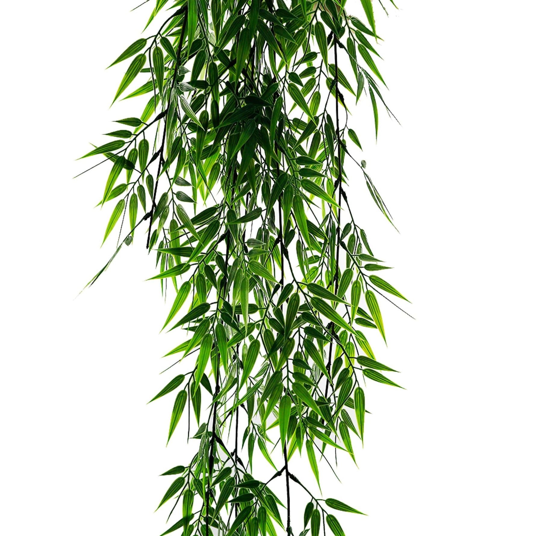 Cascading Ruscus Leaf Vine – Outdoor Proof (120cm) - Designer Vertical Gardens artificial hanging ferns hanging fern