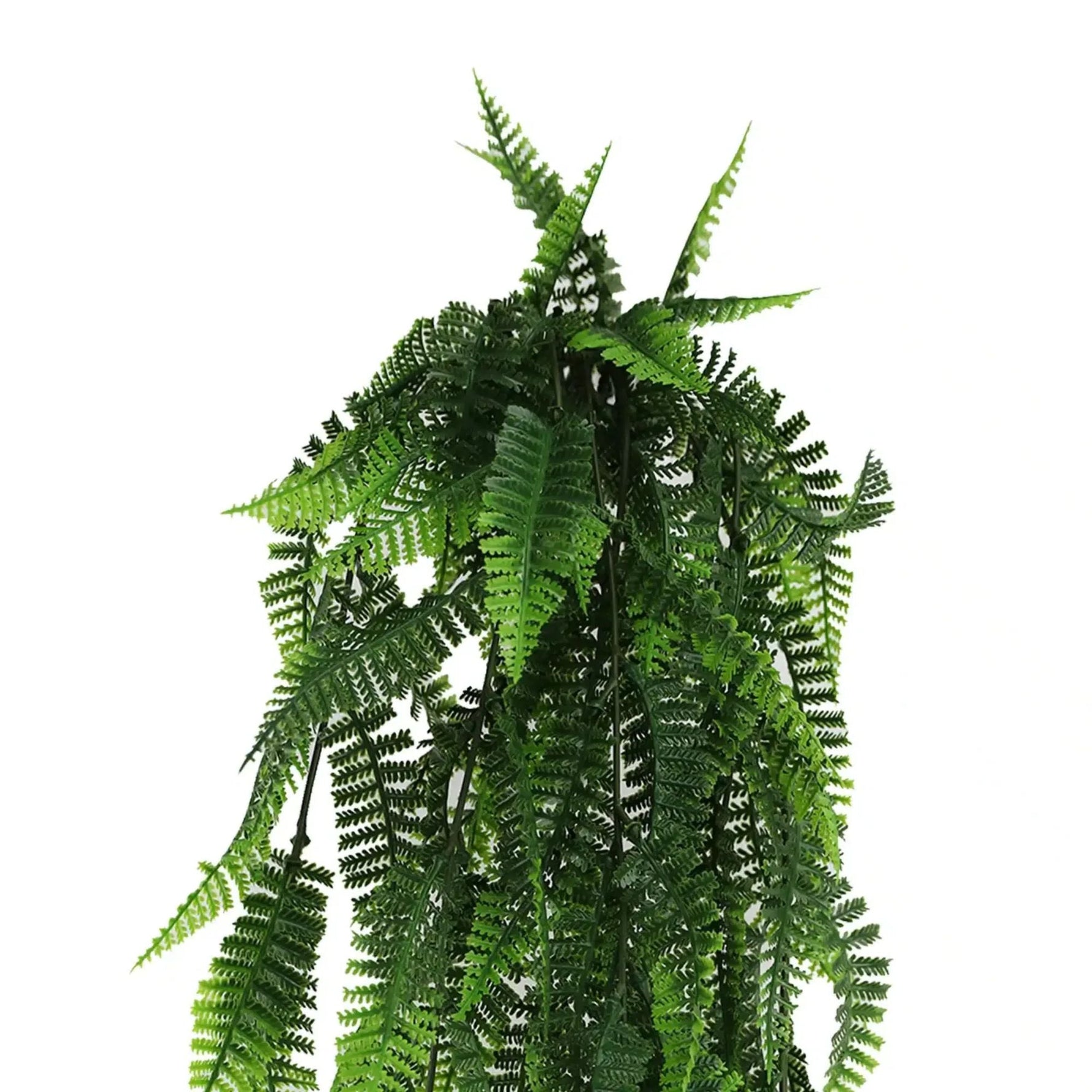 EverLush Bracken Fern Vine – Outdoor - Safe 77cm - Designer Vertical Gardens artificial hanging fern plant artificial hanging ferns