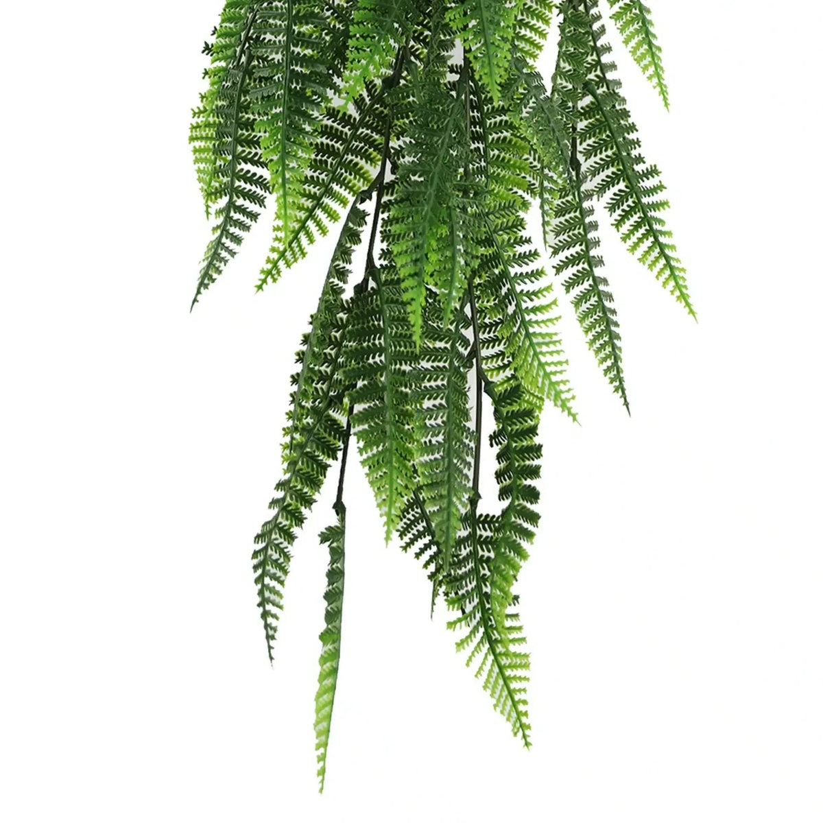 EverLush Bracken Fern Vine – Outdoor - Safe 77cm - Designer Vertical Gardens artificial hanging fern plant artificial hanging ferns