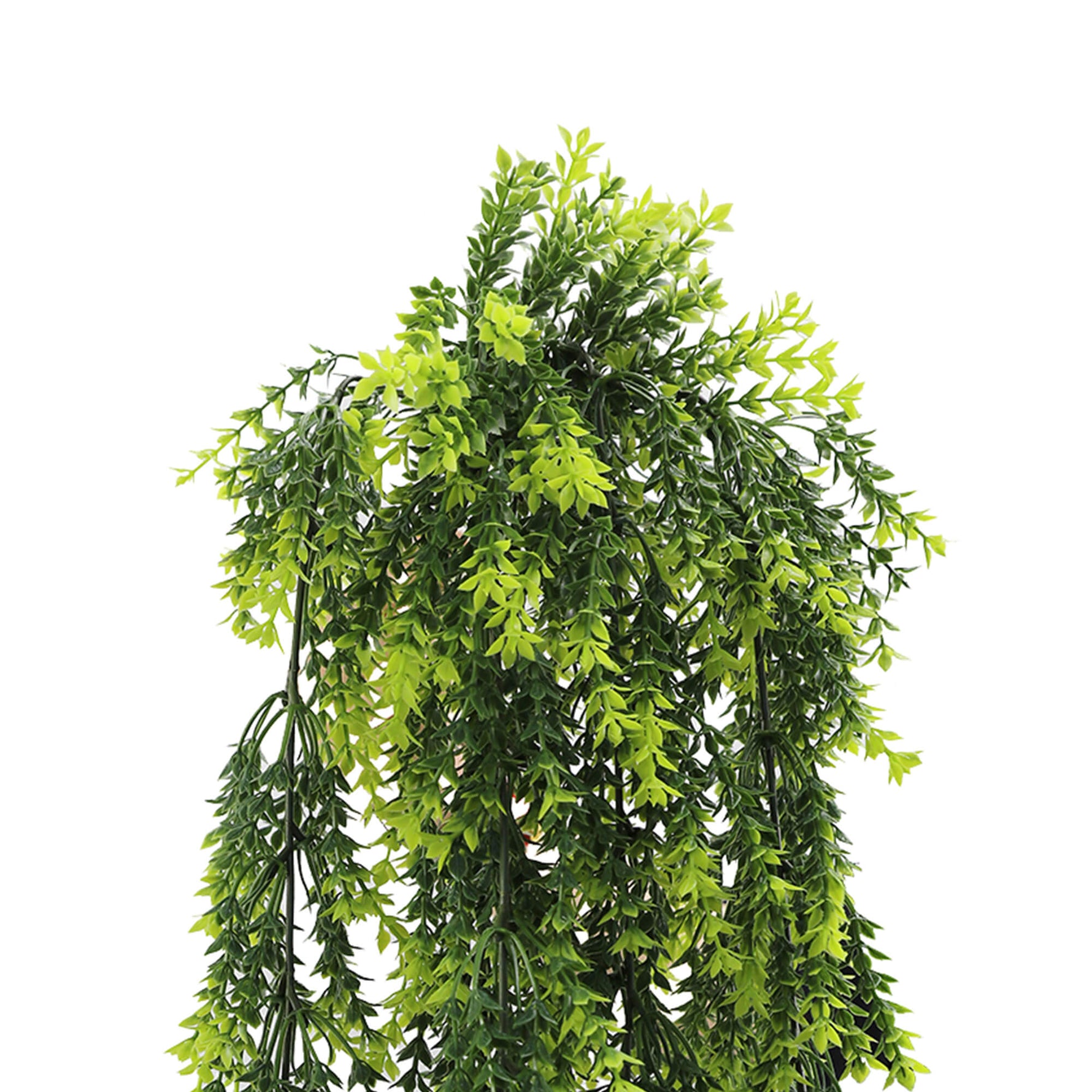 EverLush Mixed Green Foliage Vine – UV and Weather - Protected 77cm - Designer Vertical Gardens hanging fern hanging garland