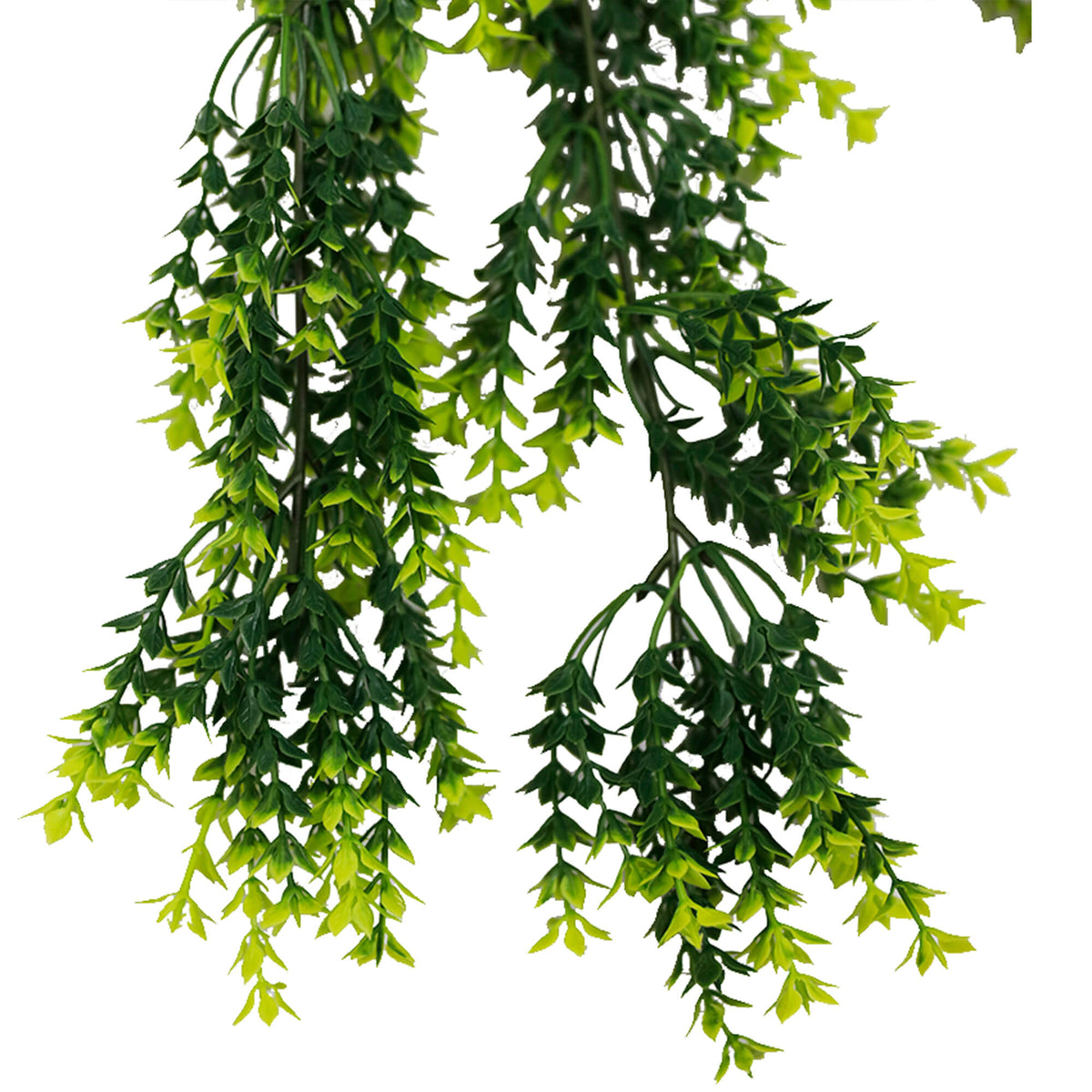 EverLush Mixed Green Foliage Vine – UV and Weather - Protected 77cm - Designer Vertical Gardens hanging fern hanging garland