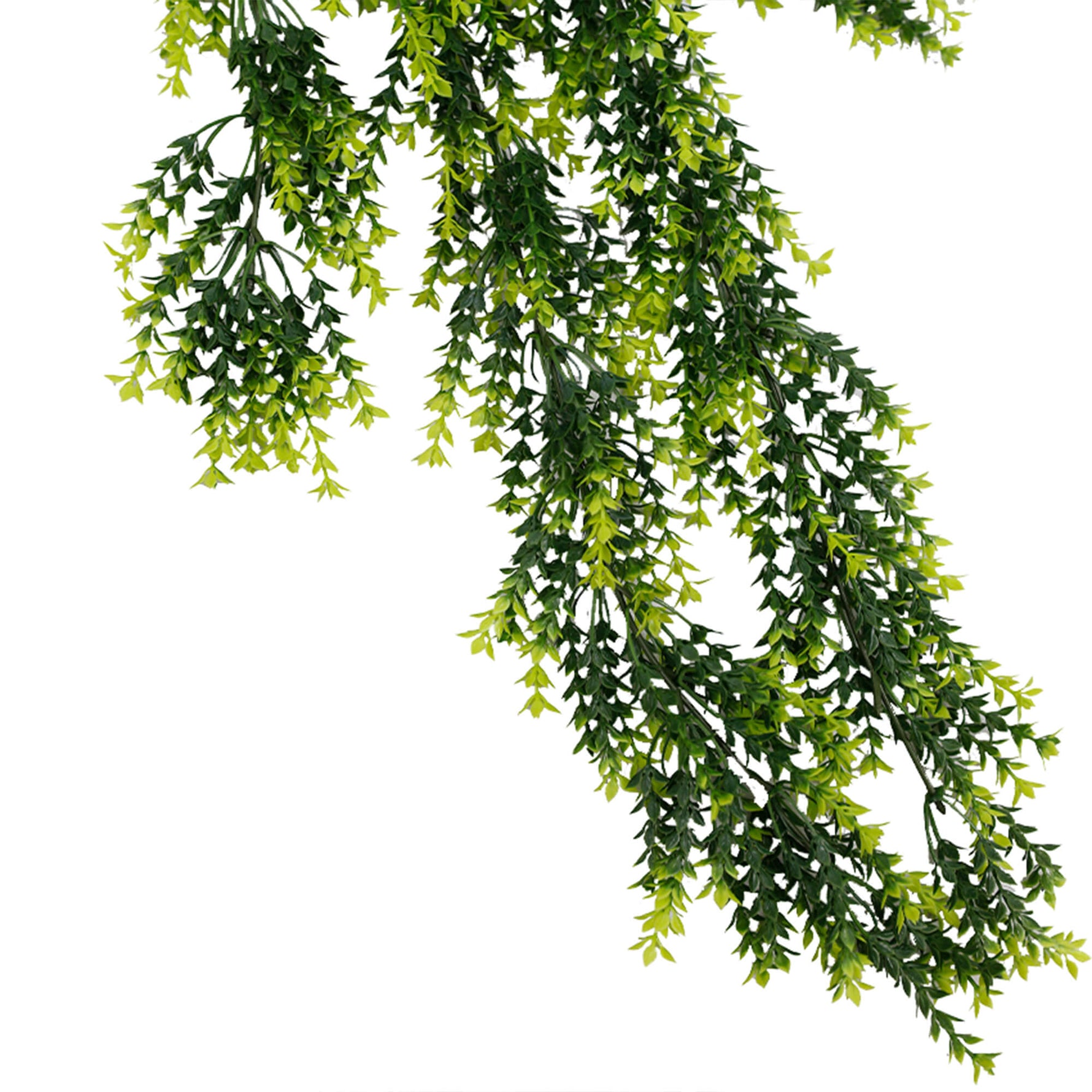 EverLush Mixed Green Foliage Vine – UV and Weather - Protected 77cm - Designer Vertical Gardens hanging fern hanging garland