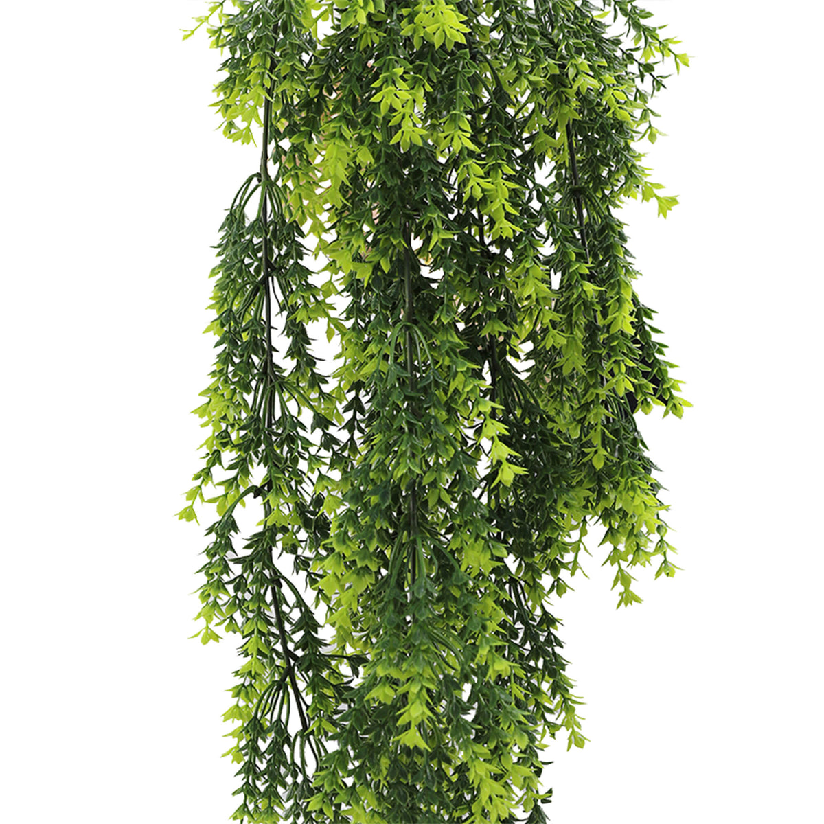 EverLush Mixed Green Foliage Vine – UV and Weather - Protected 77cm - Designer Vertical Gardens hanging fern hanging garland