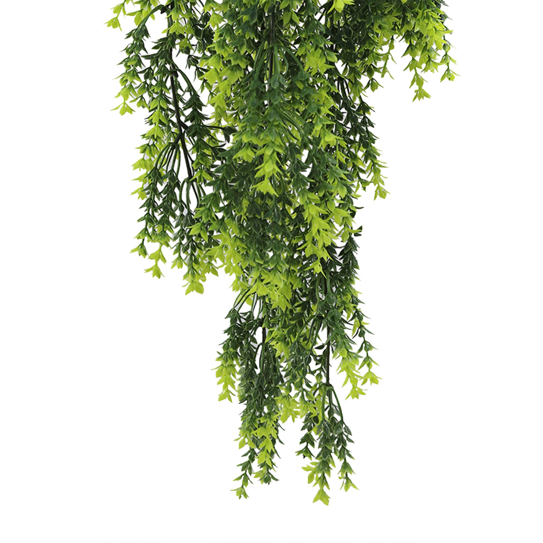 EverLush Mixed Green Foliage Vine – UV and Weather - Protected 77cm - Designer Vertical Gardens hanging fern hanging garland