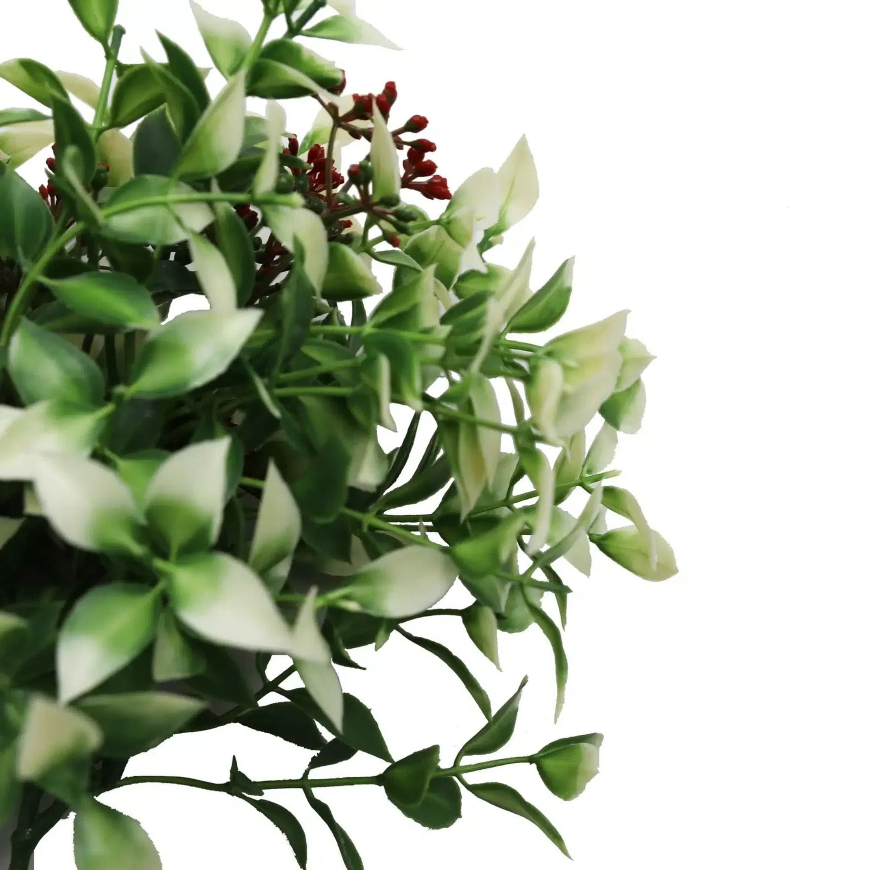 FreshLeaf Holly Plant Stem – Weatherproof 26cm - Designer Vertical Gardens Artificial flower stems Artificial greenery stems