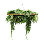 Gold Artificial Hanging Green Wall Disc 80cm UV Resistant Foliage - Designer Vertical Gardens artificial hanging fern artificial hanging ferns