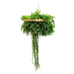 Gold Framed Roof Hanging Disc With Draping Life - Like Plants UV Resistant 40cm - Designer Vertical Gardens artificial hanging basket artificial hanging fern