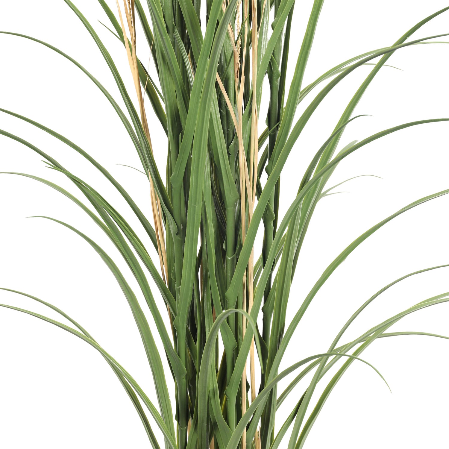 Lush Green Artificial Long Grass – 180cm, UV Protected - Designer Vertical Gardens Artificial Plants Dracena & Artificial Yucca