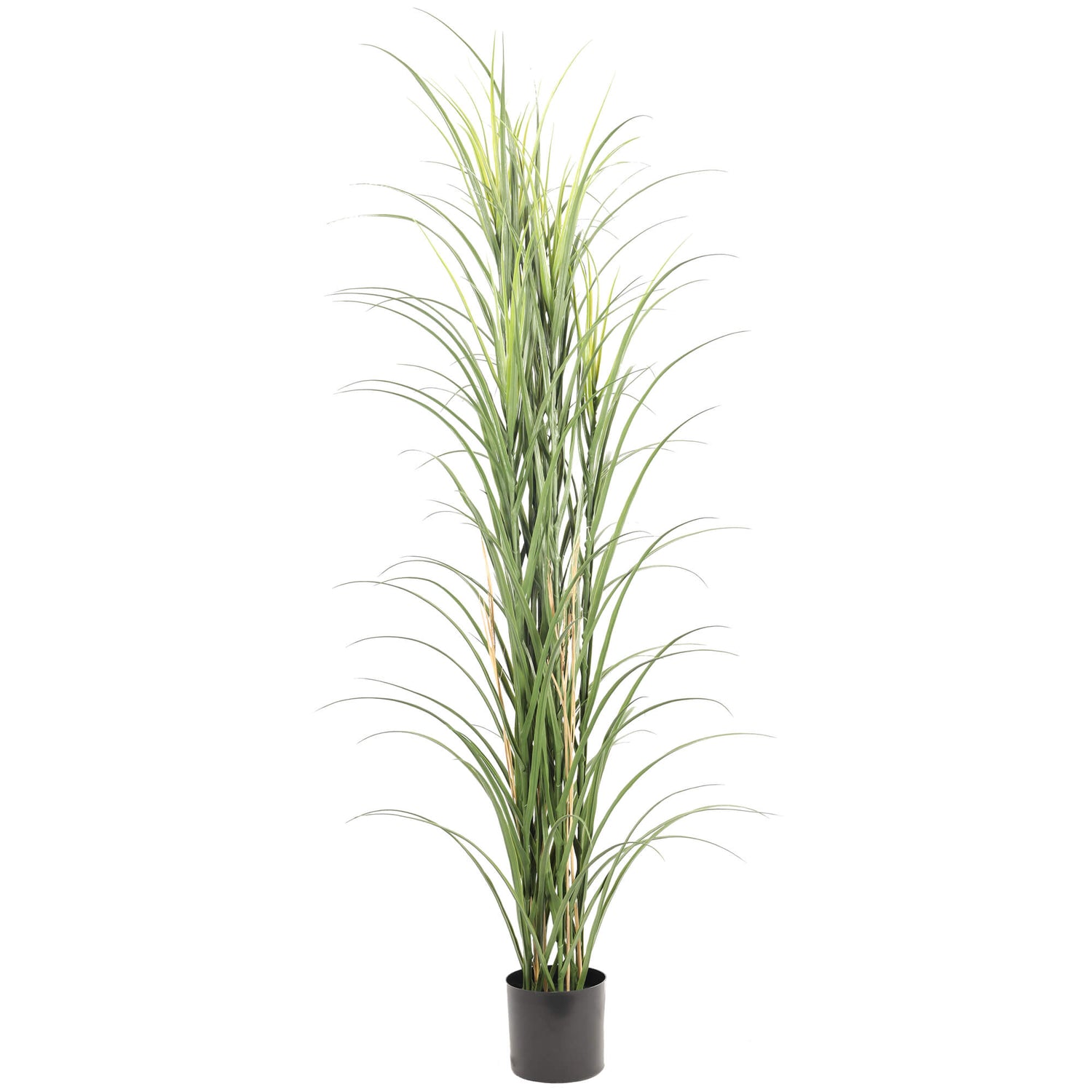 Lush Green Artificial Long Grass – 180cm, UV Protected - Designer Vertical Gardens Artificial Plants Dracena & Artificial Yucca