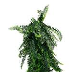 Lush Green Bracken Fern Cascade – Outdoor - Friendly 85cm - Designer Vertical Gardens artificial hanging ferns hanging fern