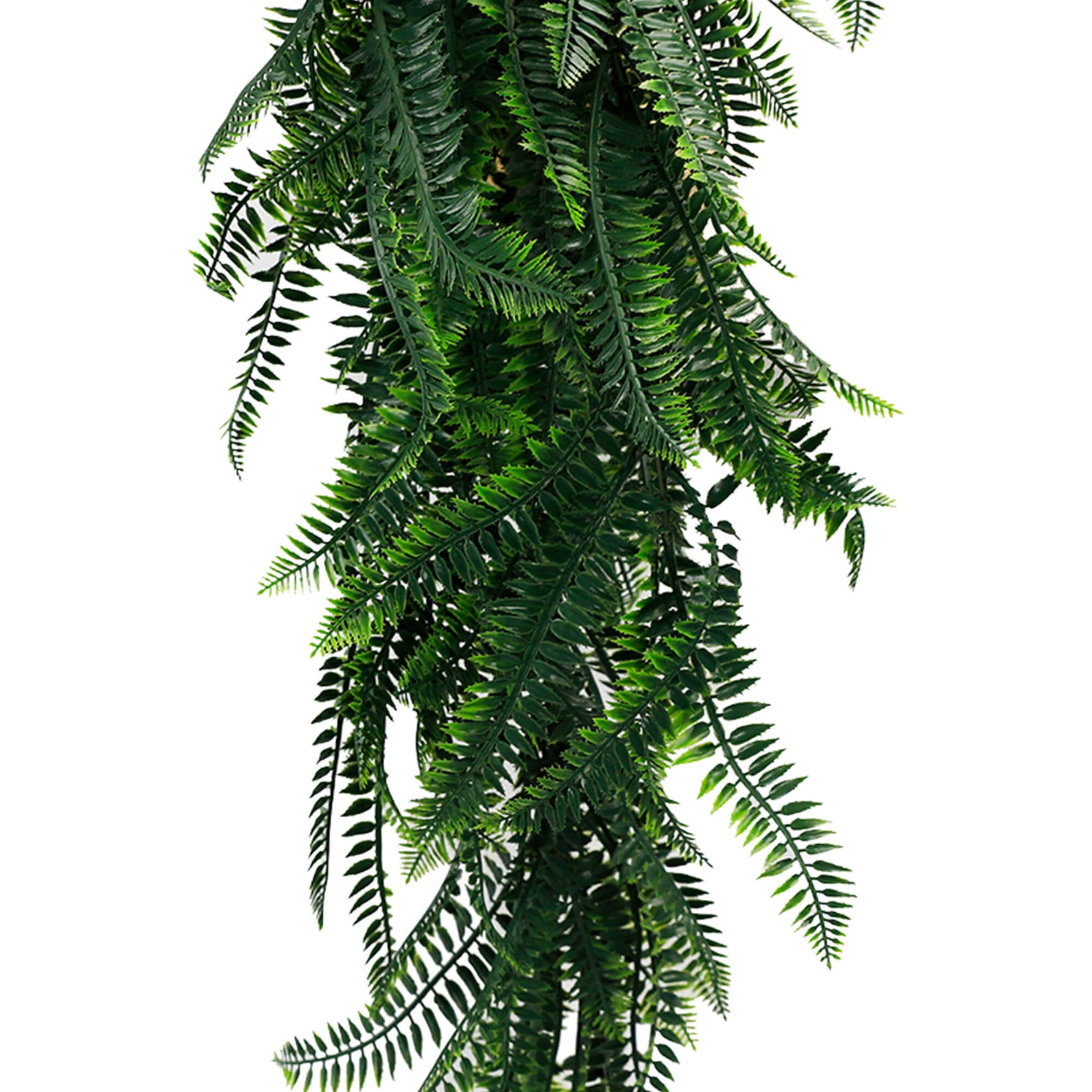 Lush Green Bracken Fern Cascade – Outdoor - Friendly 85cm - Designer Vertical Gardens artificial hanging ferns hanging fern