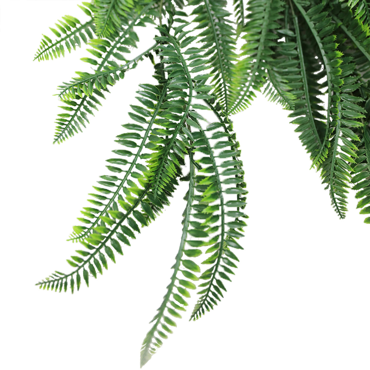 Lush Green Bracken Fern Cascade – Outdoor - Friendly 85cm - Designer Vertical Gardens artificial hanging ferns hanging fern