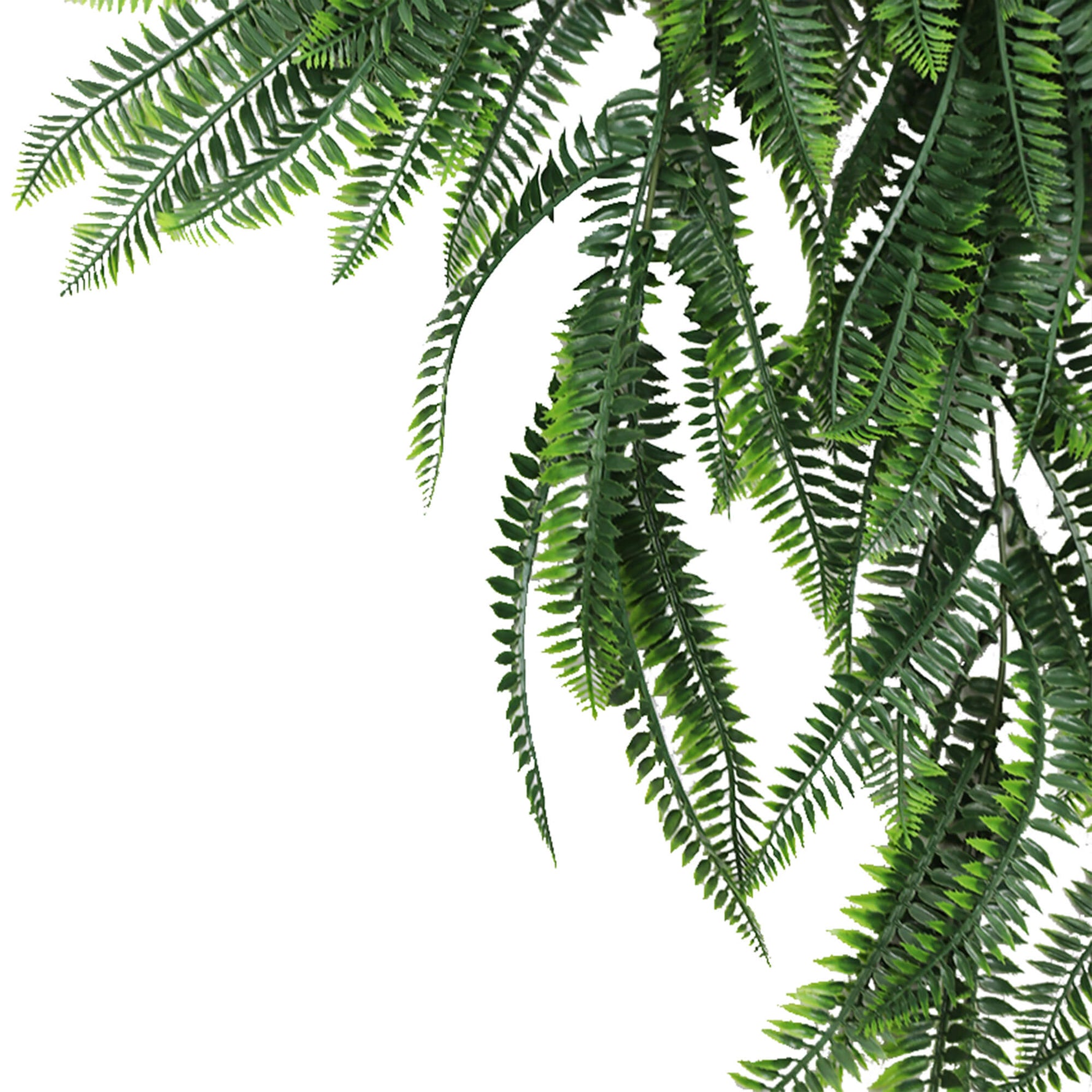 Lush Green Bracken Fern Cascade – Outdoor - Friendly 85cm - Designer Vertical Gardens artificial hanging ferns hanging fern