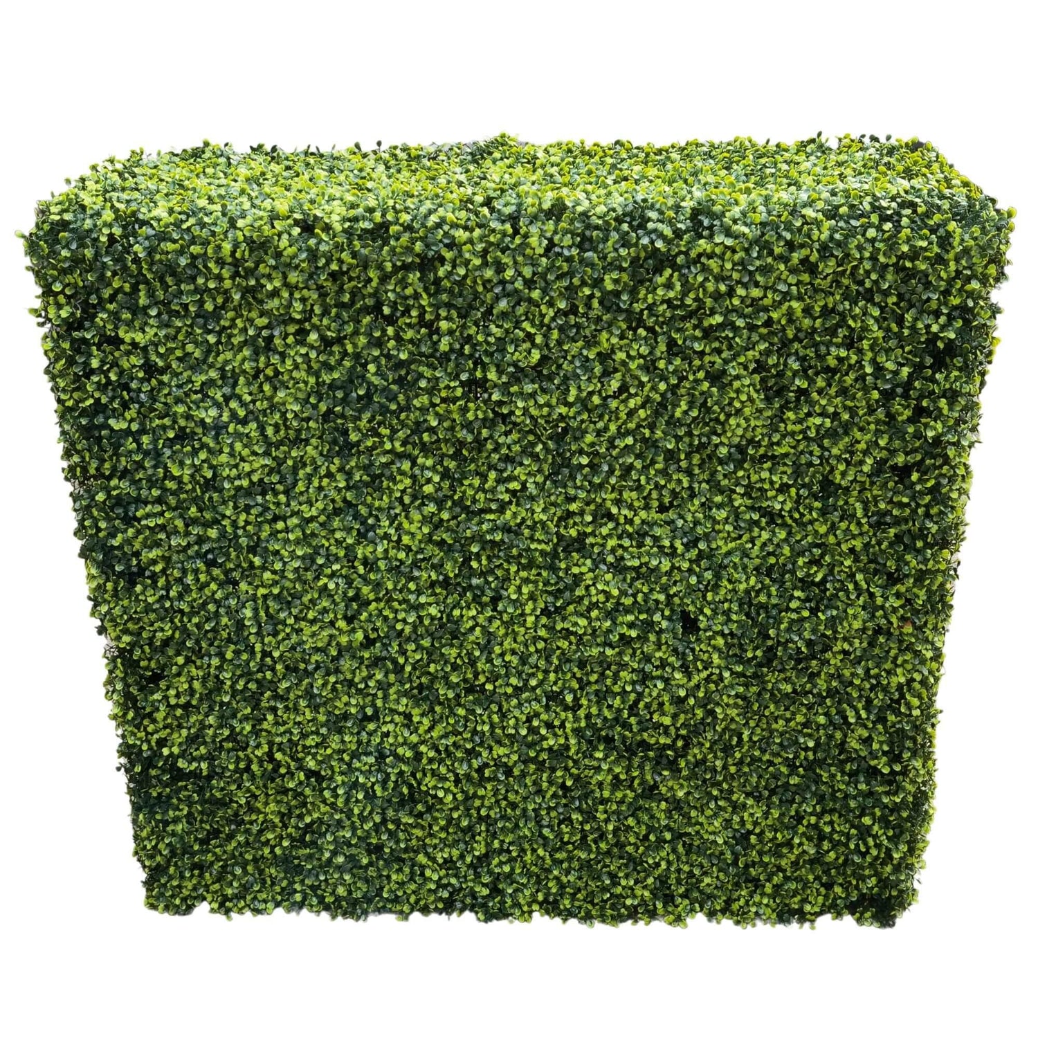 Mixed Boxwood Hedge UV Resistant 75cm Long X 75cm High - Designer Vertical Gardens artificial hedge australia artificial hedge fence panels