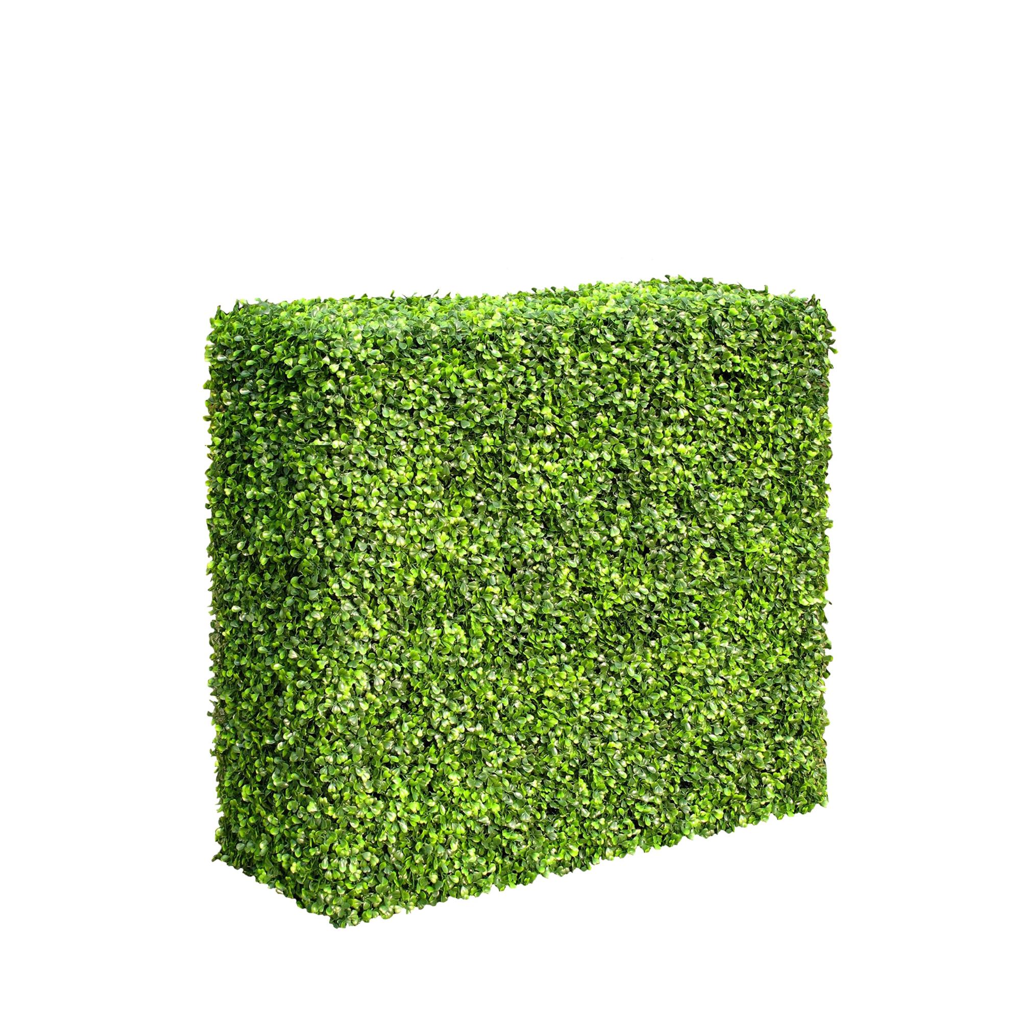 Mixed Boxwood Hedge UV Resistant 75cm Long X 75cm High – Designer ...