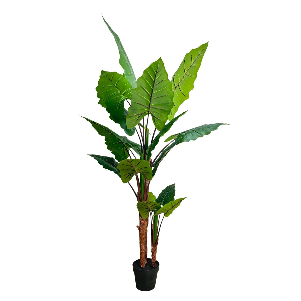 Nearly Natural Artificial 170cm Tall Taro Plant - Designer Vertical Gardens Artificial Trees Artificial Trees for Balconies