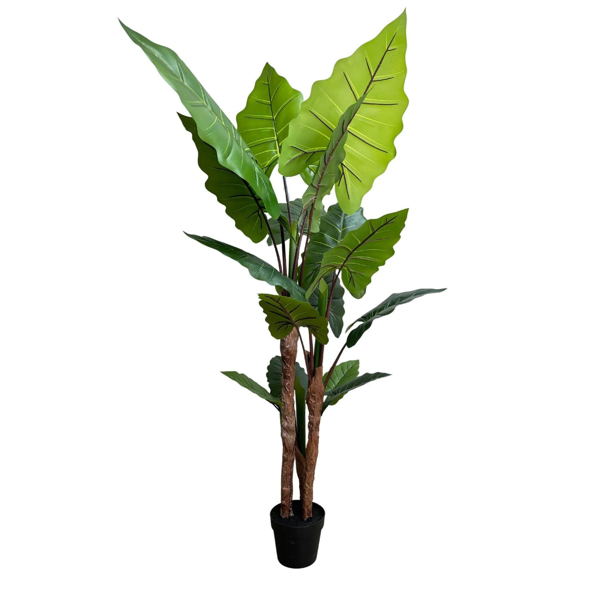 Nearly Natural Artificial 170cm Tall Taro Plant - Designer Vertical Gardens Artificial Trees Artificial Trees for Balconies