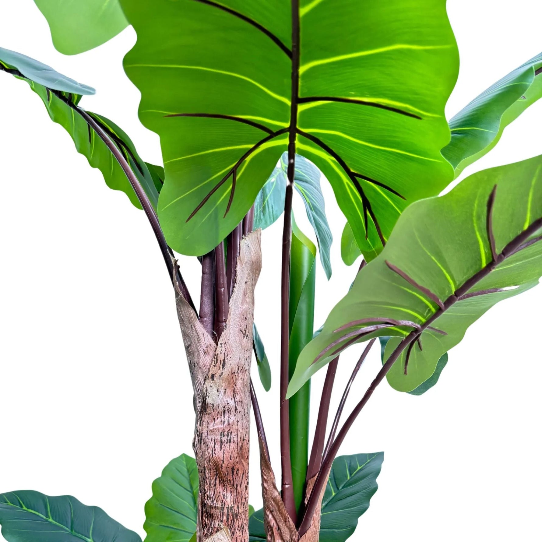 Nearly Natural Artificial 170cm Tall Taro Plant - Designer Vertical Gardens Artificial Trees Artificial Trees for Balconies