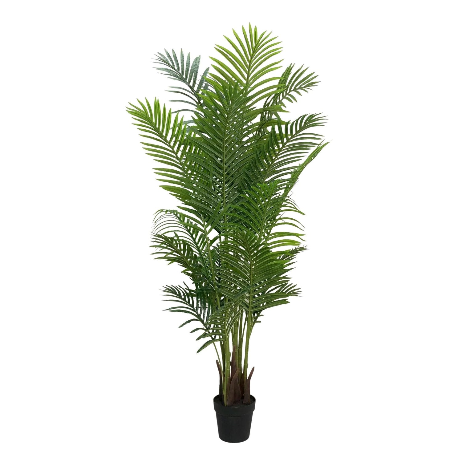 Premium Artificial Areca Palm Tree Real Touch 160cm - Designer Vertical Gardens Bamboos and Palm indoor