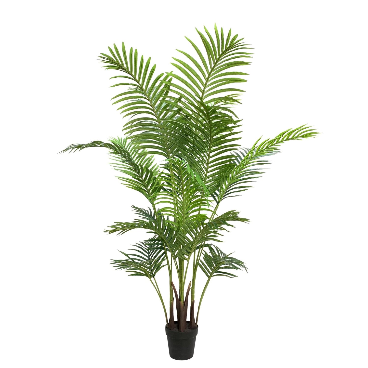 Premium Artificial Areca Palm Tree Real Touch 160cm - Designer Vertical Gardens Bamboos and Palm indoor