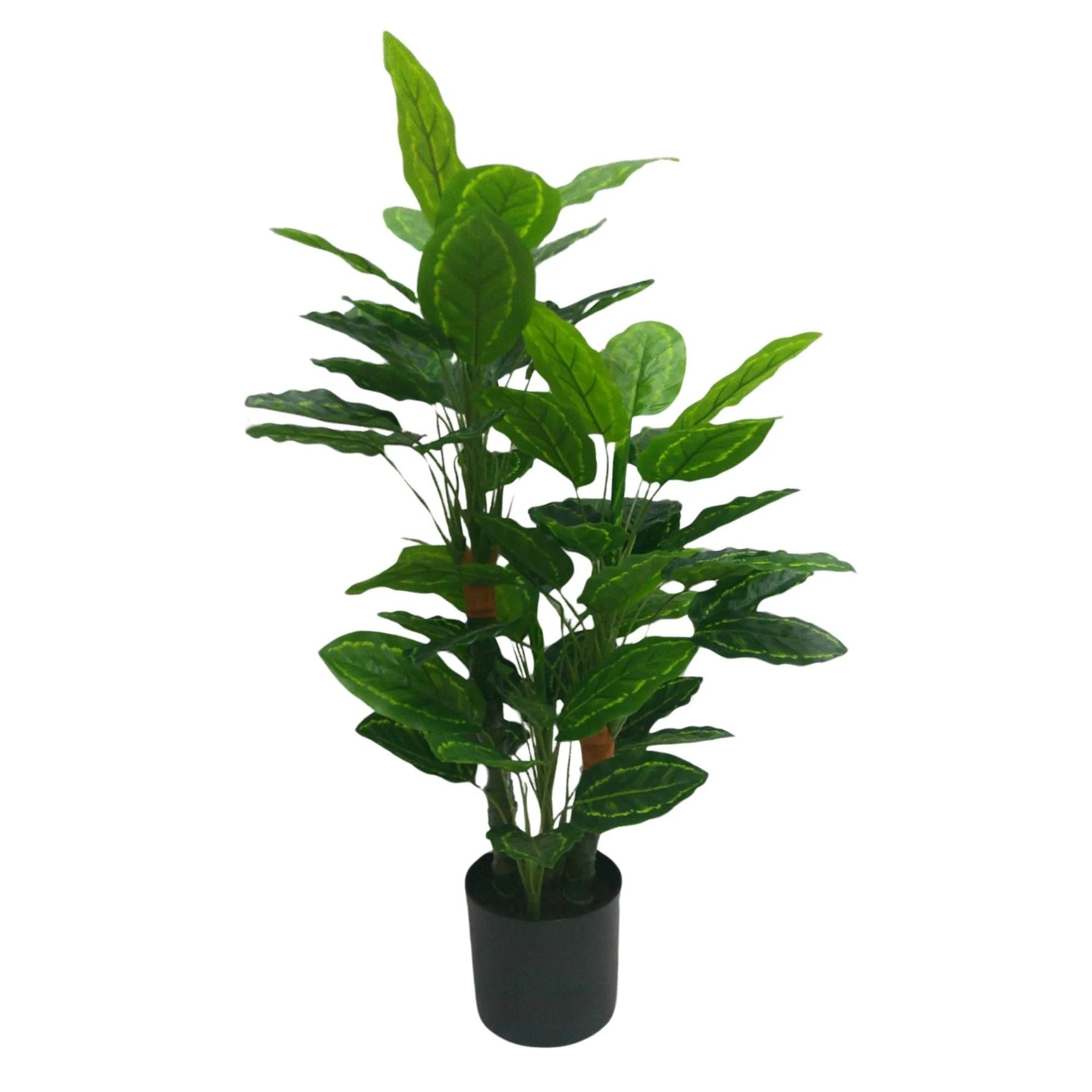 Premium Artificial Cordyline Fructicosa Green / Ti Plant 90cm - Designer Vertical Gardens Artificial Shrubs and Small plants