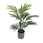 Premium Artificial Potted Premium Mini Palm Tree 55cm - Designer Vertical Gardens artificial palm tree Artificial Shrubs and Small plants