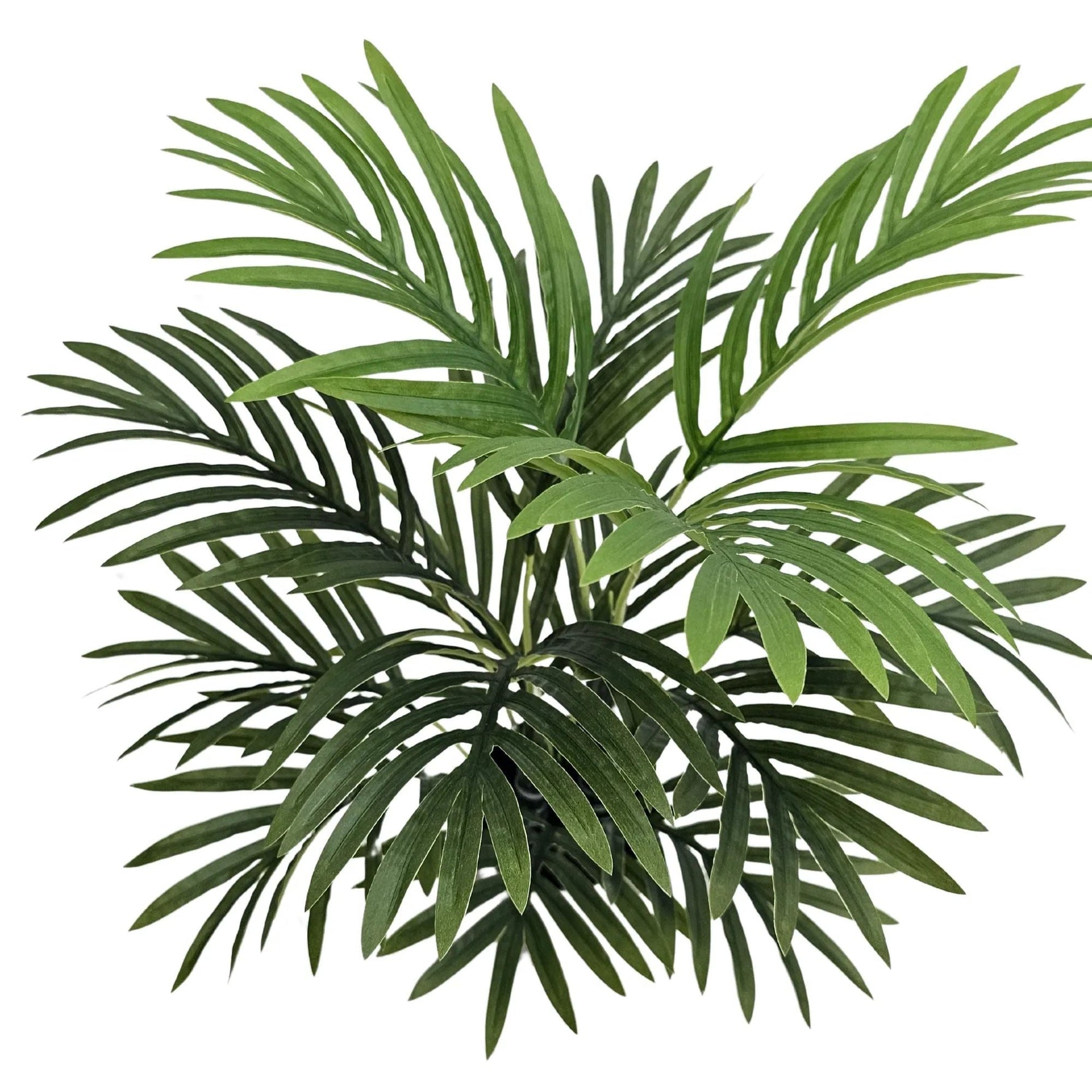 Premium Artificial Potted Premium Mini Palm Tree 55cm - Designer Vertical Gardens artificial palm tree Artificial Shrubs and Small plants