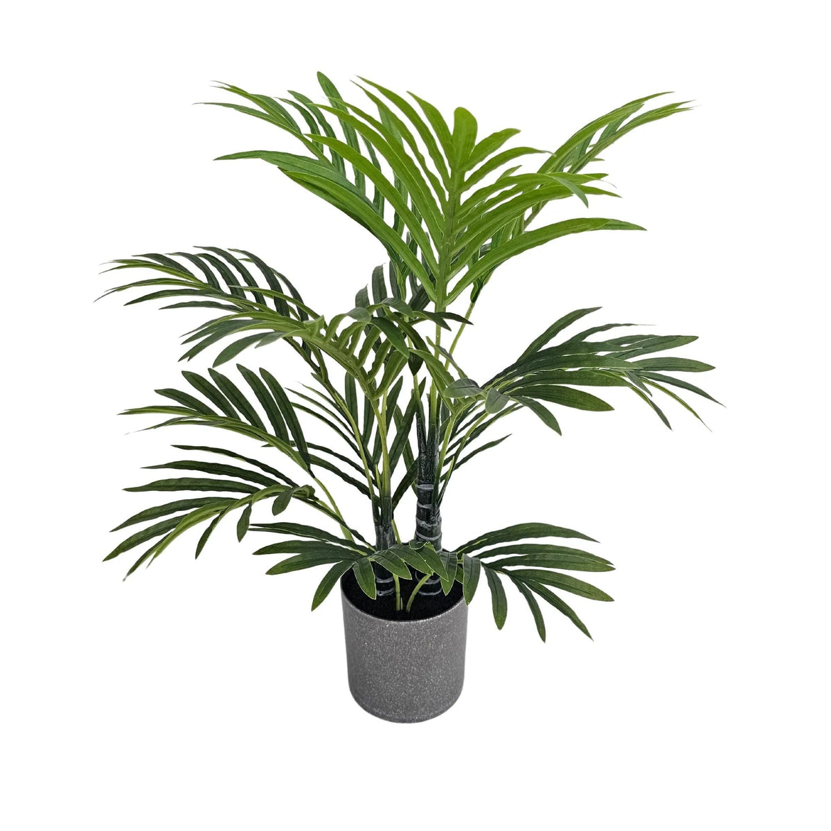 Premium Artificial Potted Premium Mini Palm Tree 55cm - Designer Vertical Gardens artificial palm tree Artificial Shrubs and Small plants