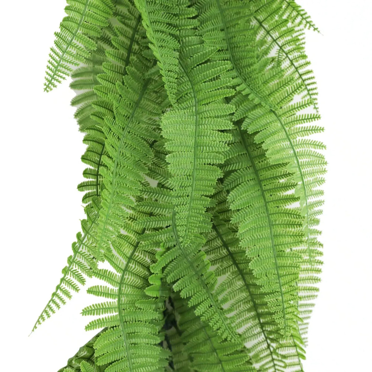 PureLush Bright Green Fern Bush – Outdoor - Friendly 55cm - Designer Vertical Gardens artificial hanging ferns hanging garland