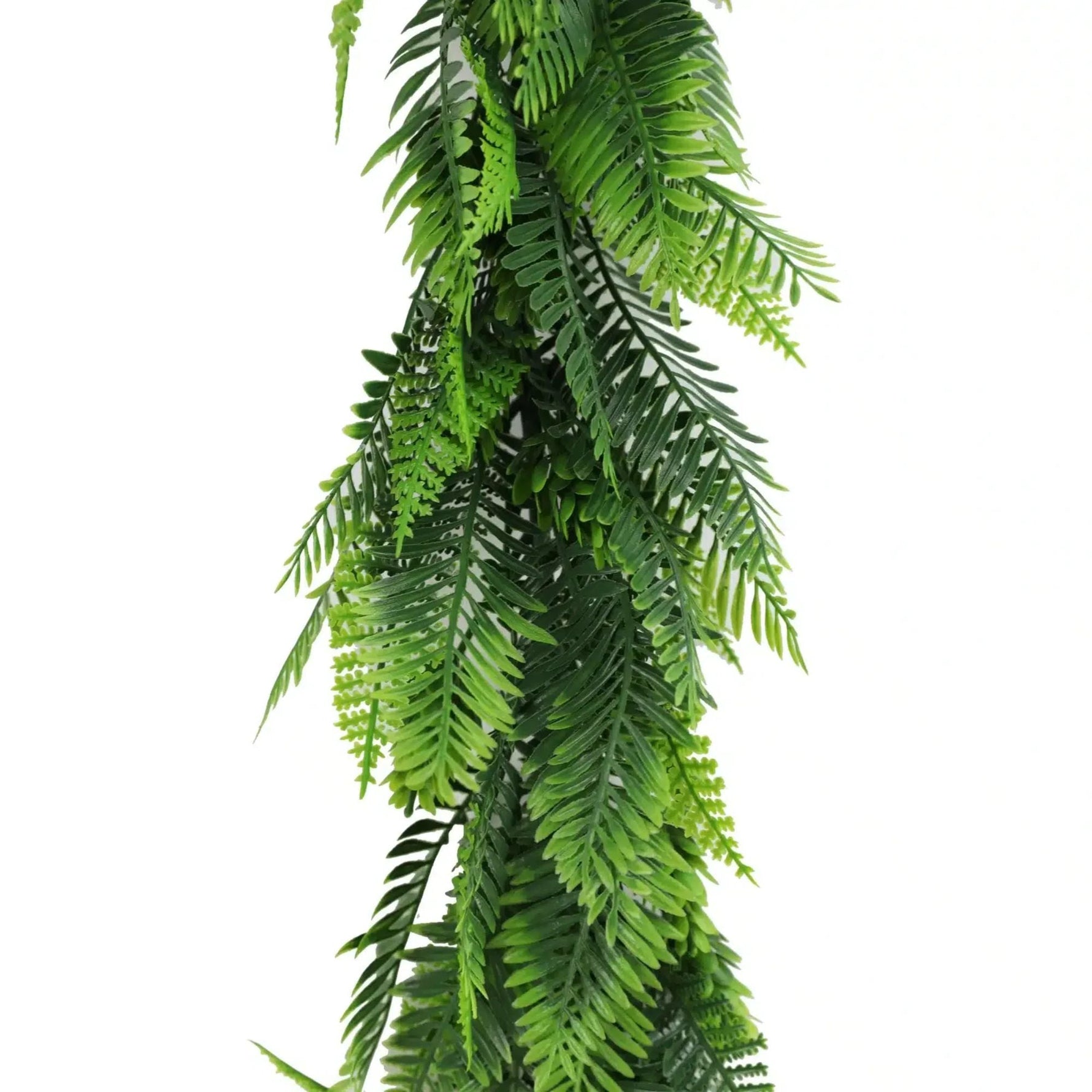 PureLush Cascading Fern Garland – UV - Protected 55cm - Designer Vertical Gardens