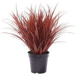 38cm Ornamental Potted Artificial Grass Plant Dense Burgundy - Designer Vertical Gardens artificial garden wall plants artificial green wall australia